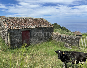 Działka na sprzedaż, Portugalia Nordeste, 232 215 dolar (931 181 zł), 11 600 m2, 90754190