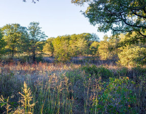 Działka na sprzedaż, Usa Jacksboro 10393 State Highway , 988 000 dolar (4 040 920 zł), 339 935,94 m2, 102278212