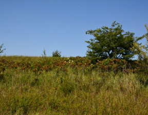 Działka na sprzedaż, Usa Lecompton 000000 E , 155 000 dolar (593 650 zł), 28 327,99 m2, 81008214