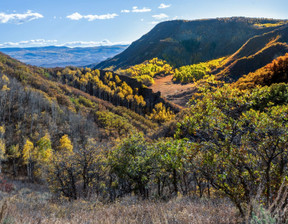 Działka na sprzedaż, Usa Hayden 32771, 8 750 000 dolar (33 512 500 zł), 9 890 517 m2, 98742588