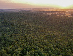 Działka na sprzedaż, Usa Sturkie TBD Red Bud Road, 864 000 dolar (3 309 120 zł), 1 294 994 m2, 99135126