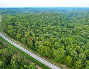 Działka na sprzedaż, Usa Mountain View 000 State Highway NN, 142 000 dolar (543 860 zł), 186 155,4 m2, 91484174