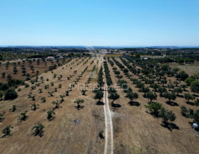 Działka na sprzedaż, Portugalia Santarém Casével e Vaqueiros, 233 566 dolar (894 558 zł), 42 480 m2, 98691777