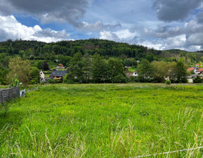 Działka na sprzedaż, Francja Colroy-La-Roche, 69 999 dolar (286 296 zł), 2600 m2, 99843376