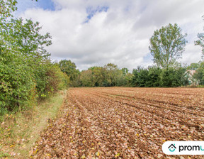 Działka na sprzedaż, Francja Cherveix Cubas, 28 243 dolar (118 054 zł), 5070 m2, 84770751