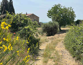 Dom na sprzedaż, Włochy Magliano In Toscana PERETA, 1 496 711 dolar (6 016 776 zł), 620 m2, 90681170