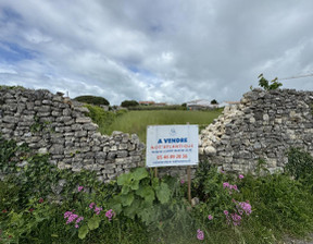 Działka na sprzedaż, Francja Sainte-Marie-De-Ré, 1 081 389 dolar (4 422 879 zł), 1200 m2, 96440929