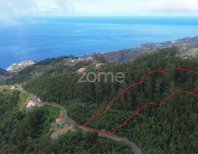 Działka na sprzedaż, Portugalia Ribeira Brava, 66 087 dolar (253 113 zł), 5000 m2, 98086164