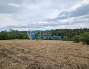 Działka na sprzedaż, Bułgaria Велико Търново/veliko-Tarnovo гр. Елена/gr. Elena, 32 563 dolar (136 112 zł), 14 900 m2, 100991138