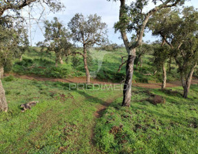 Działka na sprzedaż, Portugalia Santiago Do Cacém São Francisco da Serra, 90 917 dolar (349 123 zł), 49 750 m2, 94757085