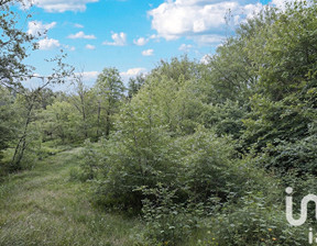 Działka na sprzedaż, Francja Maillezais, 29 544 dolar (120 835 zł), 5720 m2, 100493757