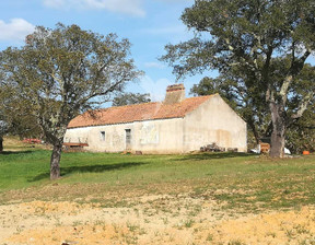 Działka na sprzedaż, Portugalia Santiago Do Cacém Santiago do Cacém, Santa Cruz e São Bartolomeu da Serra, 1 112 220 dolar (4 259 801 zł), 288 000 m2, 100282396