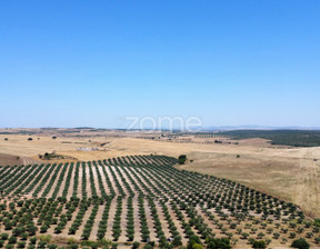 Działka na sprzedaż, Portugalia Campo Maior, 144 566 dolar (559 472 zł), 130 000 m2, 98752620