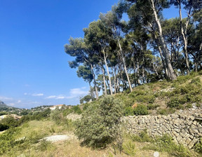 Działka na sprzedaż, Francja Ollioules, 464 265 dolar (1 898 843 zł), 6402 m2, 101918699