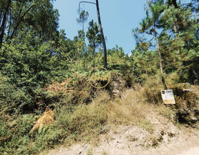 Działka na sprzedaż, Portugalia Gerês, 87 605 dolar (335 528 zł), 7200 m2, 99829952