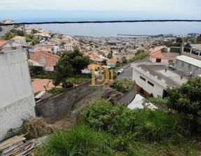 Działka na sprzedaż, Portugalia Funchal, 160 929 dolar (646 935 zł), 380 m2, 100315441