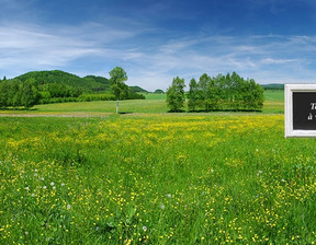 Działka na sprzedaż, Francja Denee, 279 509 dolar (1 143 190 zł), 3207 m2, 101979139