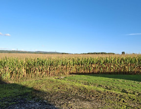 Działka na sprzedaż, Francja Vaissac, 384 074 dolar (1 570 861 zł), 28 000 m2, 101979754