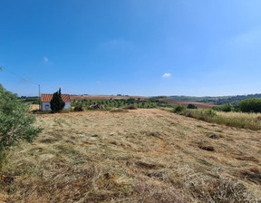 Działka na sprzedaż, Portugalia Bombarral, 167 026 dolar (646 391 zł), 13 633 m2, 100230206