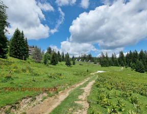 Działka na sprzedaż, Bułgaria Смолян/smolian к.к. Пампорово/k.k. Pamporovo, 93 876 dolar (376 444 zł), 3750 m2, 86792751