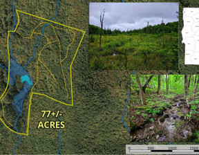 Działka na sprzedaż, Usa Corinth 1340 Beaver Brook Road, 150 000 dolar (574 500 zł), 311 607,94 m2, 100092829