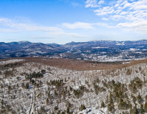 Działka na sprzedaż, Usa Stowe 0 N. Hill Road, 6 000 000 dolar (22 980 000 zł), 404 483,3 m2, 96140922