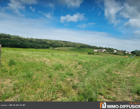 Działka na sprzedaż, Francja Chasselas, 166 615 dolar (681 455 zł), 2342 m2, 99871966