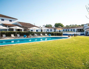 Dom na sprzedaż, Portugalia Viana Do Alentejo, 1 448 145 dolar (5 836 025 zł), 890 m2, 96124708