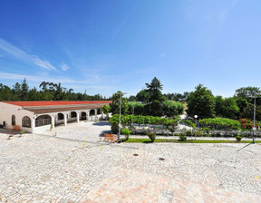 Dom na sprzedaż, Portugalia Seixal, 7 041 742 dolar (28 378 222 zł), 7900 m2, 96123385