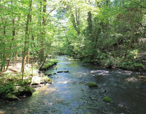 Działka na sprzedaż, Usa Pound Ridge Rolling Meadow Lane, 4 500 000 dolar (18 675 000 zł), 178 911,52 m2, 97152679